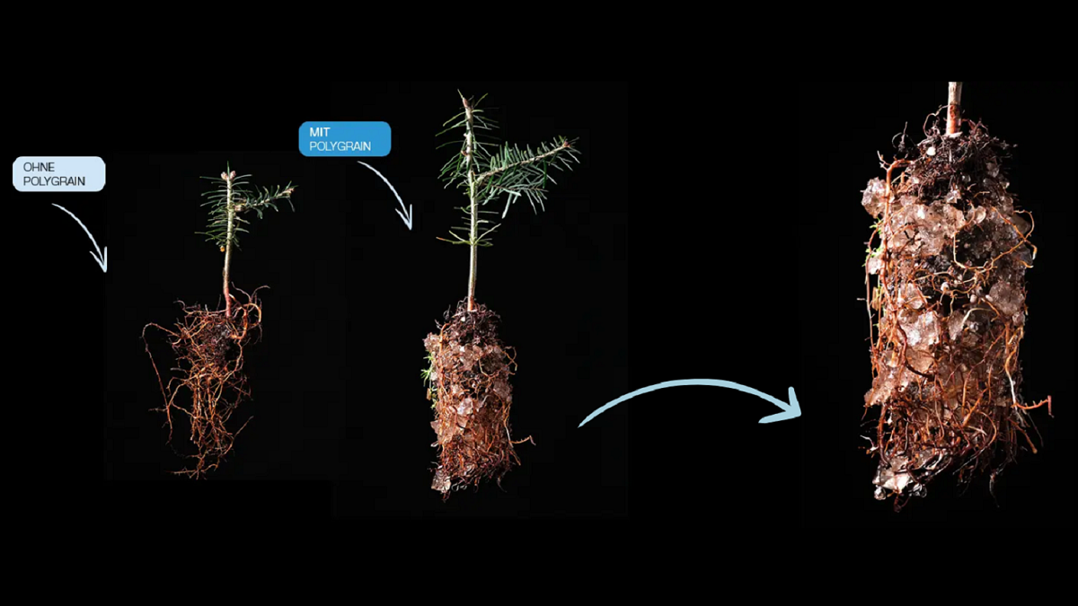 Green Legacy|Green legacy logo